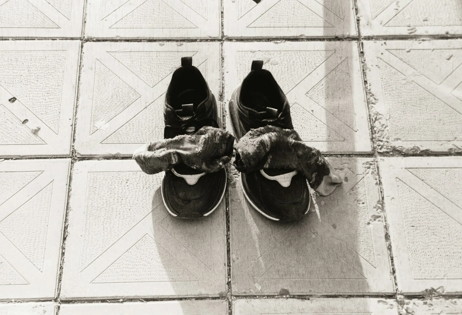 Bieganie dla początkujących plan treningowy od zera do 5 km