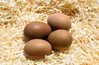 Ile białka dziennie kobieta potrzebuje – normy wg wagi i aktywności